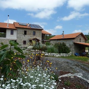 オリヴェイラ・ド・オスピタル Quinta Do Cobralヴィラ Exterior photo