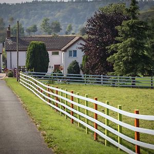 モールド Glan Llyn Farm Houseヴィラ Exterior photo