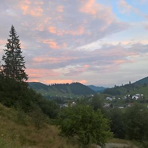 ホテル Vila Bucovina Ciocanesti Exterior photo