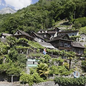 Rustici Della Verzasca Ferien Wohnungen ヴォゴルノ Exterior photo