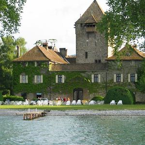 Chateau De Coudree - Les Collectionneurs シエ Exterior photo