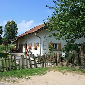 Blaibach Ferienhaus Winterヴィラ Exterior photo