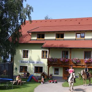 ObergöselBauernhof Pension Juriアパートメント Exterior photo