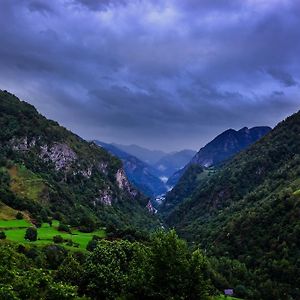 Cette-Eygun Auberge Toison D'Or Bed & Breakfast Exterior photo