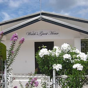 Walsh'S Guesthouse クライストチャーチ Exterior photo