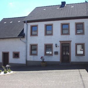 Ferienhaus-Zur-Schoenen-Aussicht ゲロルシュタイン Exterior photo