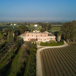 Masseria Mazzetta Salento Corte Del Falconiere B&B サリーチェ・サレンティーノ Exterior photo