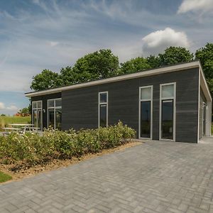 Modern Chalet At The Edge Of A Forest Near The Oosterschelde ウェーメルディンゲ Exterior photo
