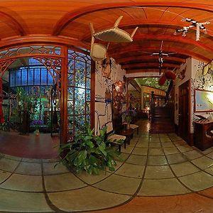 Corteza Amarilla Art Lodge Spa サンホセ Exterior photo