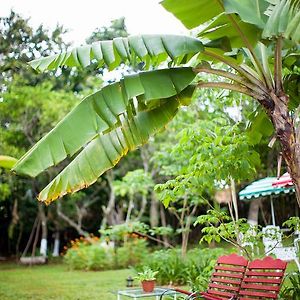 マンデビル Casa Da Buena Vista Bed & Breakfast Exterior photo