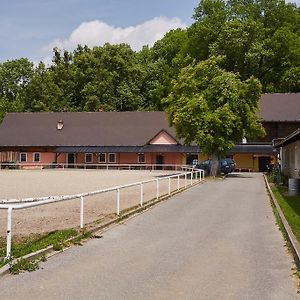 Rožnov pod Radhoštěm Penzion Hradiskoヴィラ Exterior photo