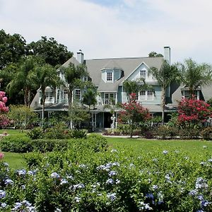 マウント・ドラ Heron Cay Lakeview Bed & Breakfast Bed & Breakfast Exterior photo