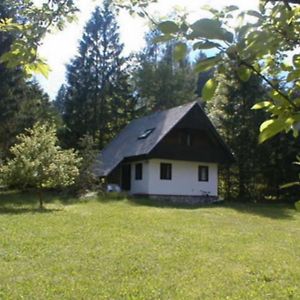 ホテル Apartmaji In Sobe Bohinjsko Jezero Ukanc Exterior photo