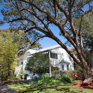 Farnsworth House Bed And Breakfast マウント・ドラ Exterior photo