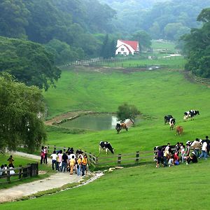 ホテル Flying Cow Ranch 通霄鎮 Exterior photo