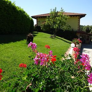 Ornaro Tenuta La Ginestra Bed & Breakfast Exterior photo