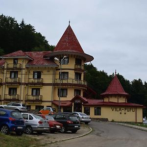 ホテル Vila Pufu Slănic-Moldova Exterior photo