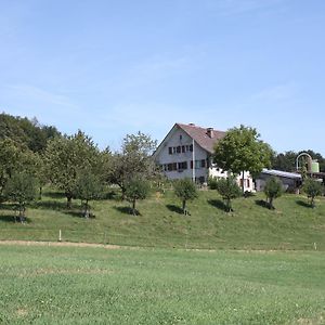 Schneisingen Bnb Im Waldhof Bed & Breakfast Exterior photo