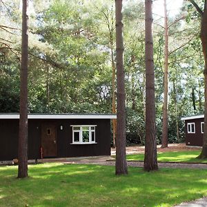 California Holiday Park - Cosy Woodland Set Holiday Homes Close To Windsor Castle ウォーキンガム Exterior photo