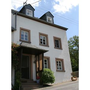 Plütscheid Ferienhaus Schilzヴィラ Exterior photo