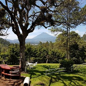 El Tejar Bosque Macadamia Bed & Breakfast Exterior photo