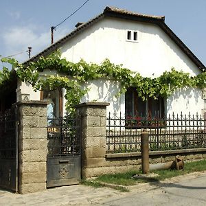 タルカル Pataky Borporta Bed & Breakfast Exterior photo