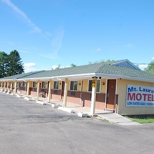 Mount Laurel Motel ヘーズルトン Exterior photo