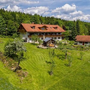 Haus Jagerfleck, Ihre Ferienwohnungen Am Nationalpark Bayerischer Wald シュピーゲラウ Exterior photo