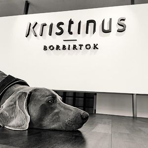 ホテル Kristinus Borbirtok Kéthely Exterior photo