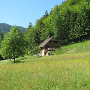 Luče Chalet Brloznica Pod Veliko Planinoヴィラ Room photo