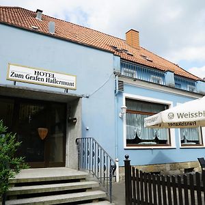 Hotel Zum Grafen Hallermunt シュプリンゲ Exterior photo