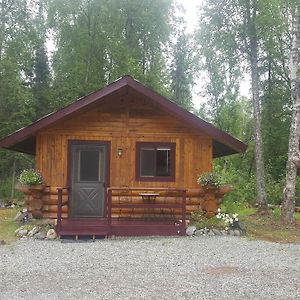 ホテル Talkeetna Fireweed Cabins Exterior photo