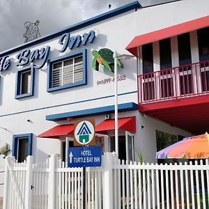 Parador Turtle Bay Inn ラ・パルグエラ Exterior photo