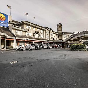 Comfort Inn & Suites ビクトリア Exterior photo