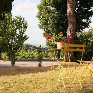 ホテル Agriturismo Campanacci Terra del Sole Exterior photo