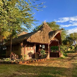 Amboseli Eco Campヴィラ Exterior photo
