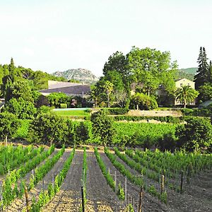 ホテル Chateau Haut Gleon Villeseque-des-Corbieres Exterior photo