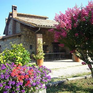 Agriturismo Le Casette バスキ Exterior photo