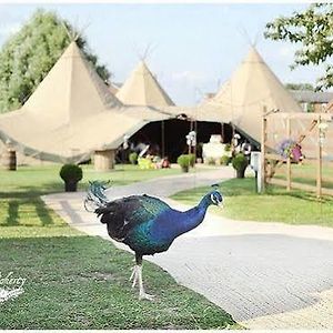 Skipbridge Farm Shepherds Huts Campground Green Hammerton Exterior photo