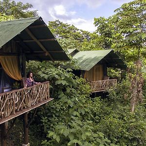 La Tigra Rainforest Lodge ラ・フォルトゥナ Exterior photo