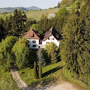 ホテル Gaestehaus Kaltenbach シュタウフェン・イム・ブライスガウ Exterior photo