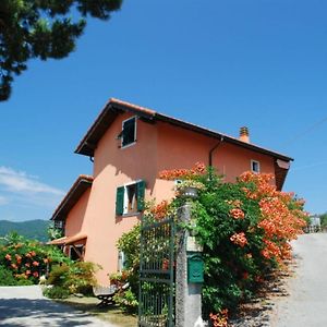 Serra Rocco Agriturismo Terra E Cieloヴィラ Exterior photo