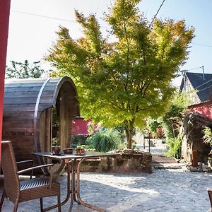 ホテル Auberge Au Boeuf Sessenheim Exterior photo