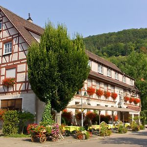 ホテル Gasthof Restaurant Hirsch バート・ディッツェンバッハ Exterior photo