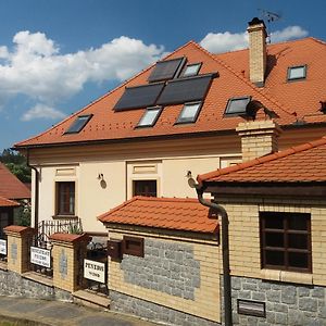 ホテル Penzion Ve Stare Skole Vlastejovice Exterior photo