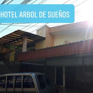 Hotel Arbol De Suenos サンサルバドル Exterior photo