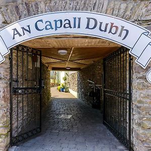 Dingle Centre Townhouse An Capall Dubh Dingleヴィラ Exterior photo