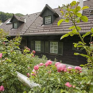 PressbaumDas Altsteirische Landhaus - La Maison De Pronegg - Feriendomizil Im Biosphaerenpark Wienerwaldアパートメント Room photo