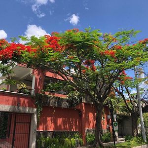 Hotel Arbol De Fuego サンサルバドル Exterior photo