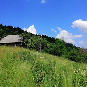 Cottage Svitanok Lopushnoye Exterior photo